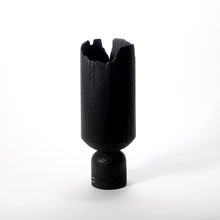 Load image into Gallery viewer, NOIR XXII